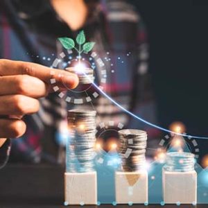 Sustainable project implementation models